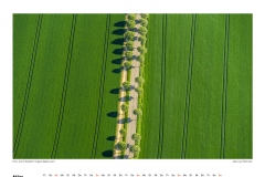 Maerz2019